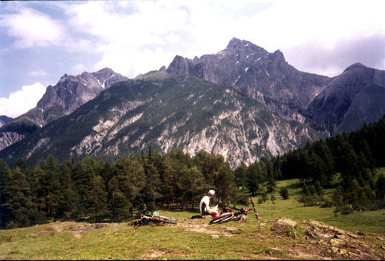 switz