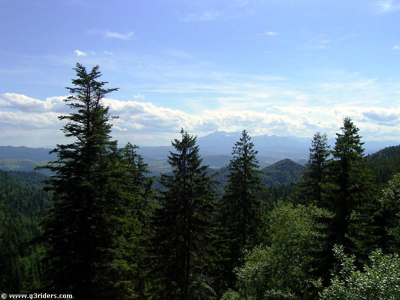PICT0397_g3r