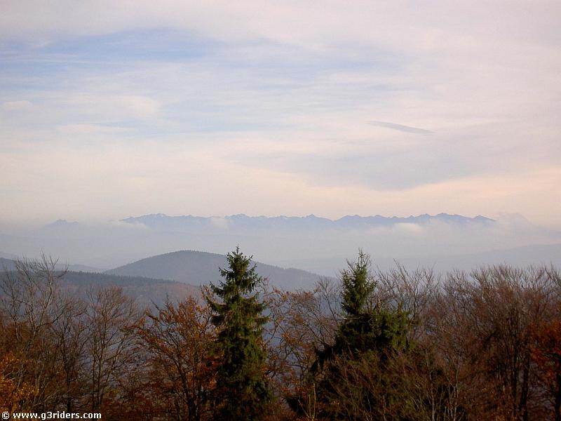 PICT0535_g3r