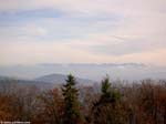 PICT0535_g3r