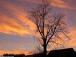 PICT0562_g3r