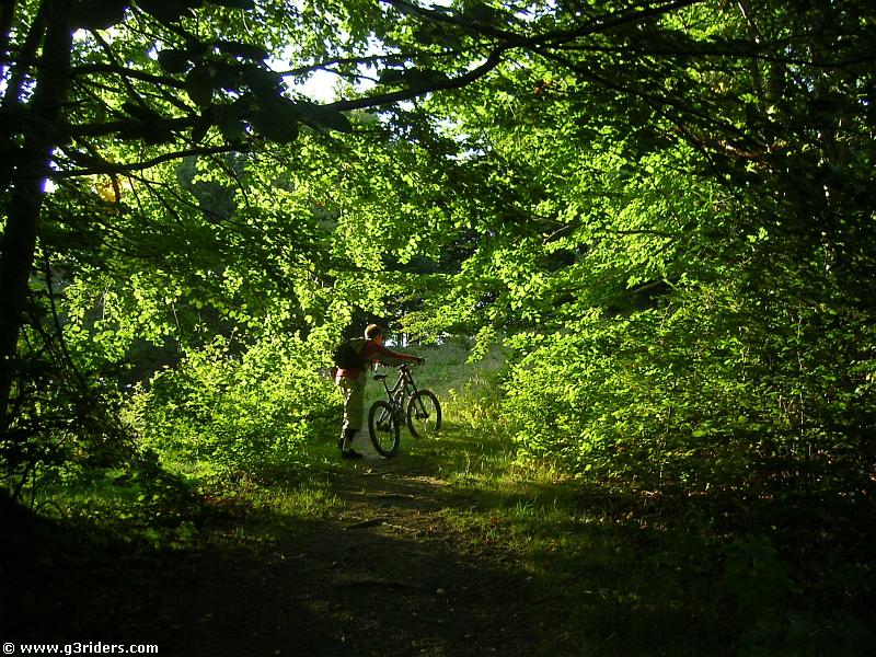PICT5006_g3r