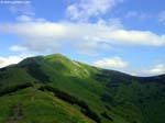 PICT7814_g3r