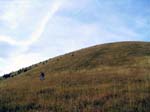 IMG_6906_g3r
